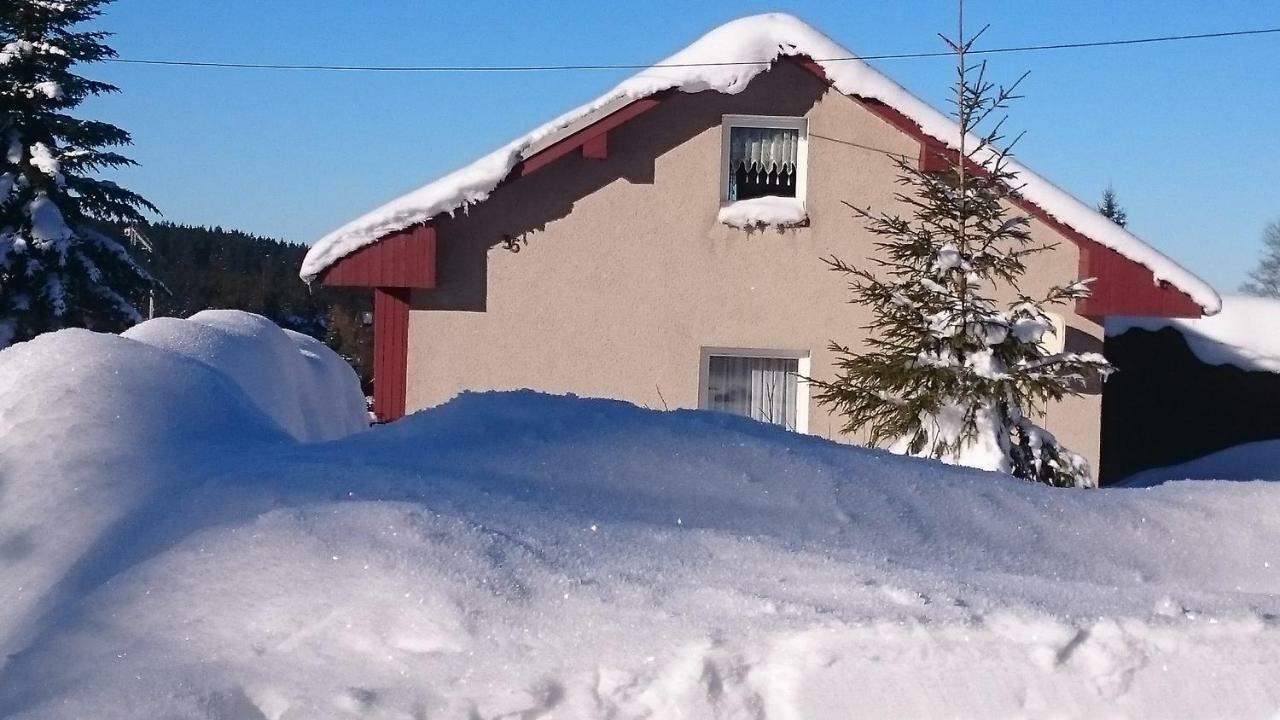 Ferienhaus Brigitte Villa Klingenthal Kültér fotó